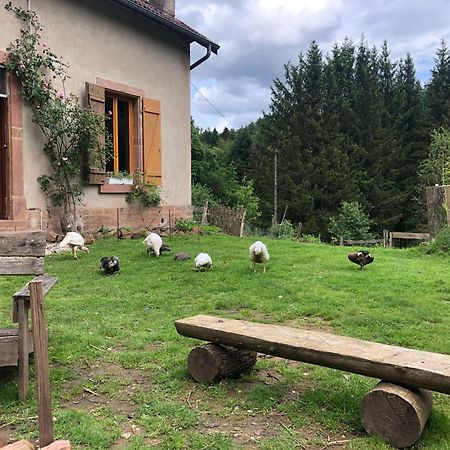 A L'Oree De Soi - Maison Forestiere De La Soie - Eco Gite, Chambres D'Hotes, Camping Au Pied Des Vosges Saint-Sauveur  エクステリア 写真