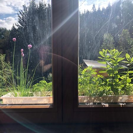A L'Oree De Soi - Maison Forestiere De La Soie - Eco Gite, Chambres D'Hotes, Camping Au Pied Des Vosges Saint-Sauveur  エクステリア 写真