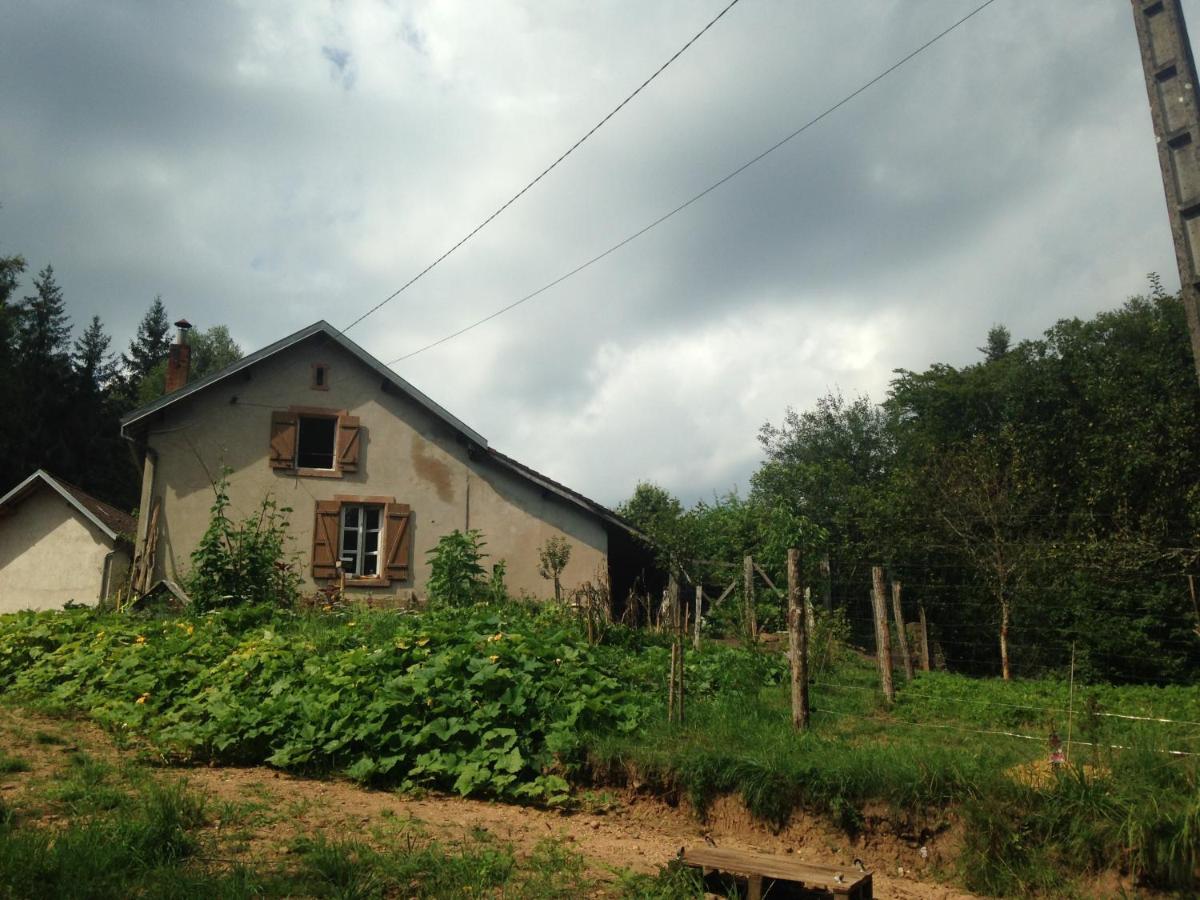 A L'Oree De Soi - Maison Forestiere De La Soie - Eco Gite, Chambres D'Hotes, Camping Au Pied Des Vosges Saint-Sauveur  エクステリア 写真