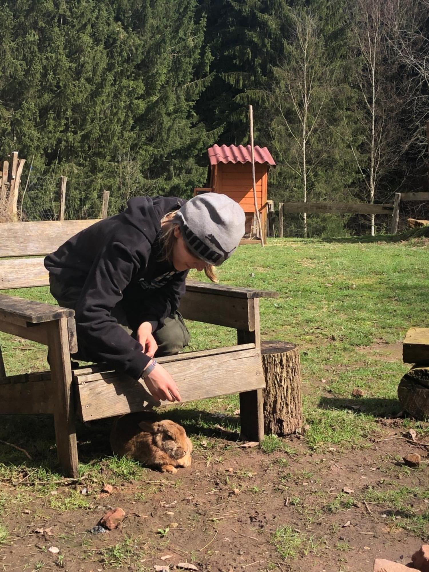 A L'Oree De Soi - Maison Forestiere De La Soie - Eco Gite, Chambres D'Hotes, Camping Au Pied Des Vosges Saint-Sauveur  エクステリア 写真