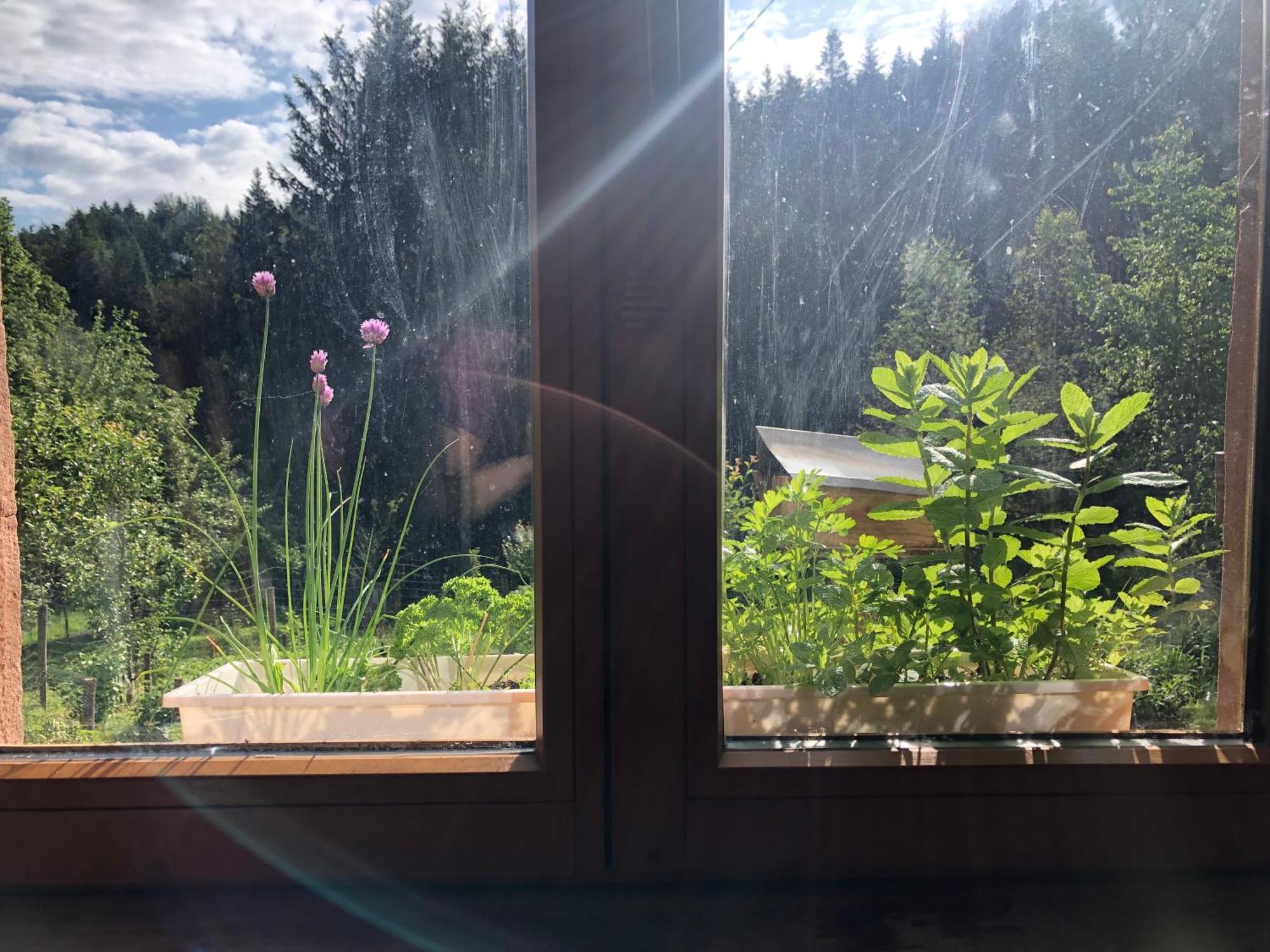 A L'Oree De Soi - Maison Forestiere De La Soie - Eco Gite, Chambres D'Hotes, Camping Au Pied Des Vosges Saint-Sauveur  エクステリア 写真