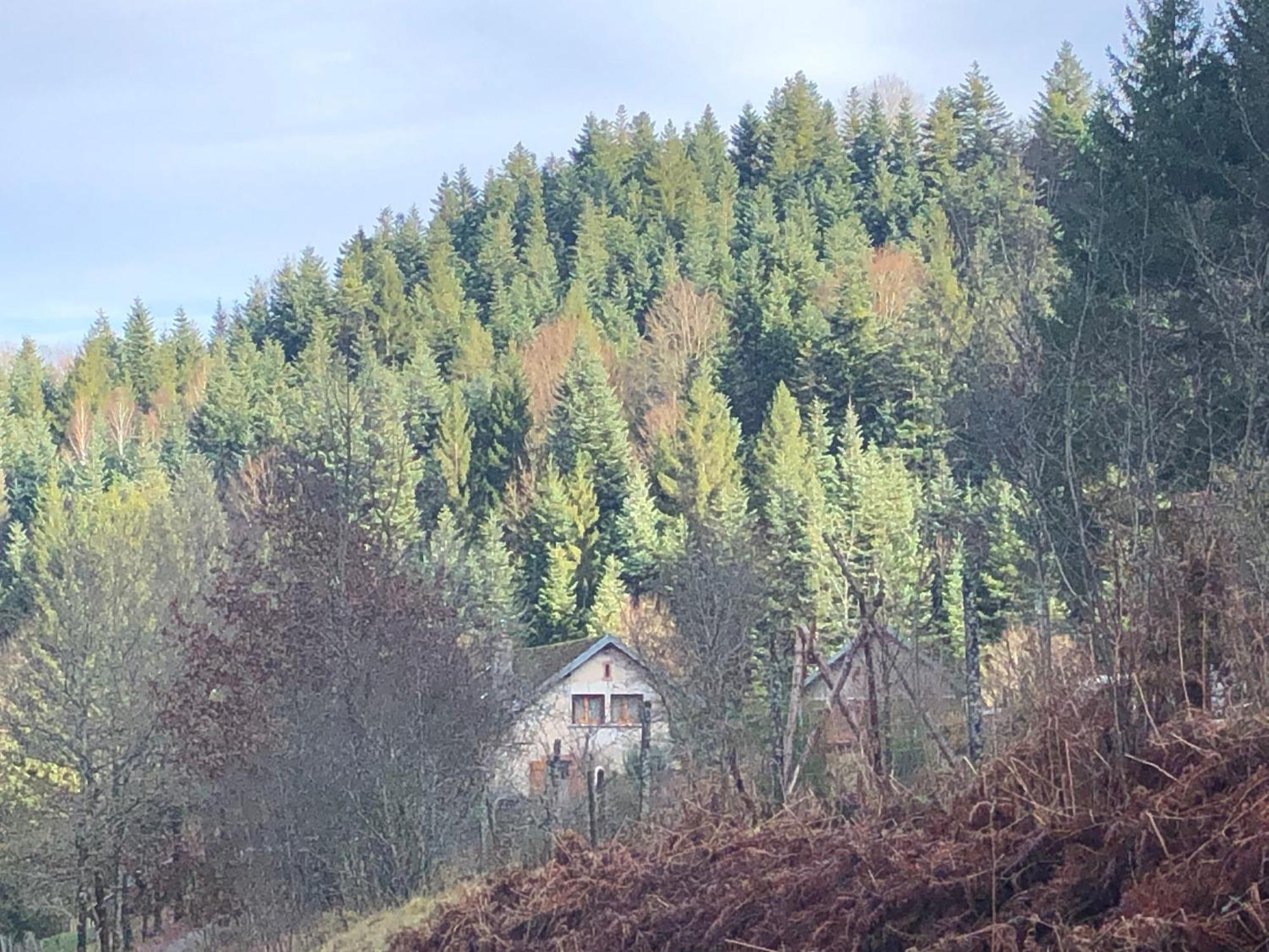 A L'Oree De Soi - Maison Forestiere De La Soie - Eco Gite, Chambres D'Hotes, Camping Au Pied Des Vosges Saint-Sauveur  エクステリア 写真