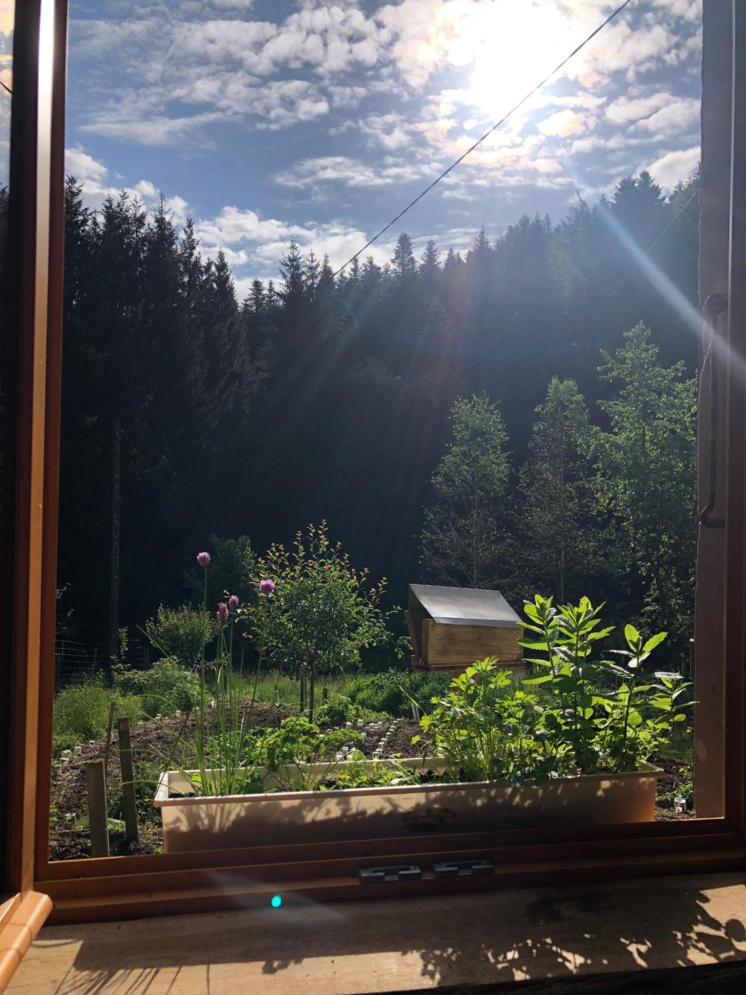 A L'Oree De Soi - Maison Forestiere De La Soie - Eco Gite, Chambres D'Hotes, Camping Au Pied Des Vosges Saint-Sauveur  エクステリア 写真