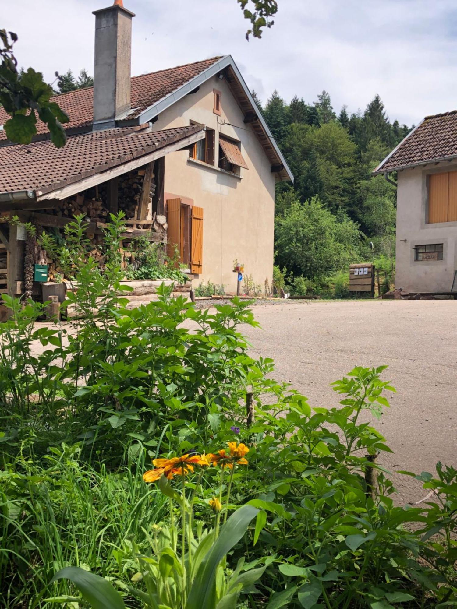 A L'Oree De Soi - Maison Forestiere De La Soie - Eco Gite, Chambres D'Hotes, Camping Au Pied Des Vosges Saint-Sauveur  エクステリア 写真