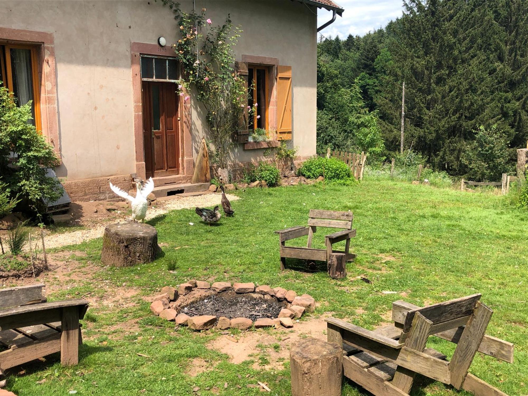 A L'Oree De Soi - Maison Forestiere De La Soie - Eco Gite, Chambres D'Hotes, Camping Au Pied Des Vosges Saint-Sauveur  エクステリア 写真