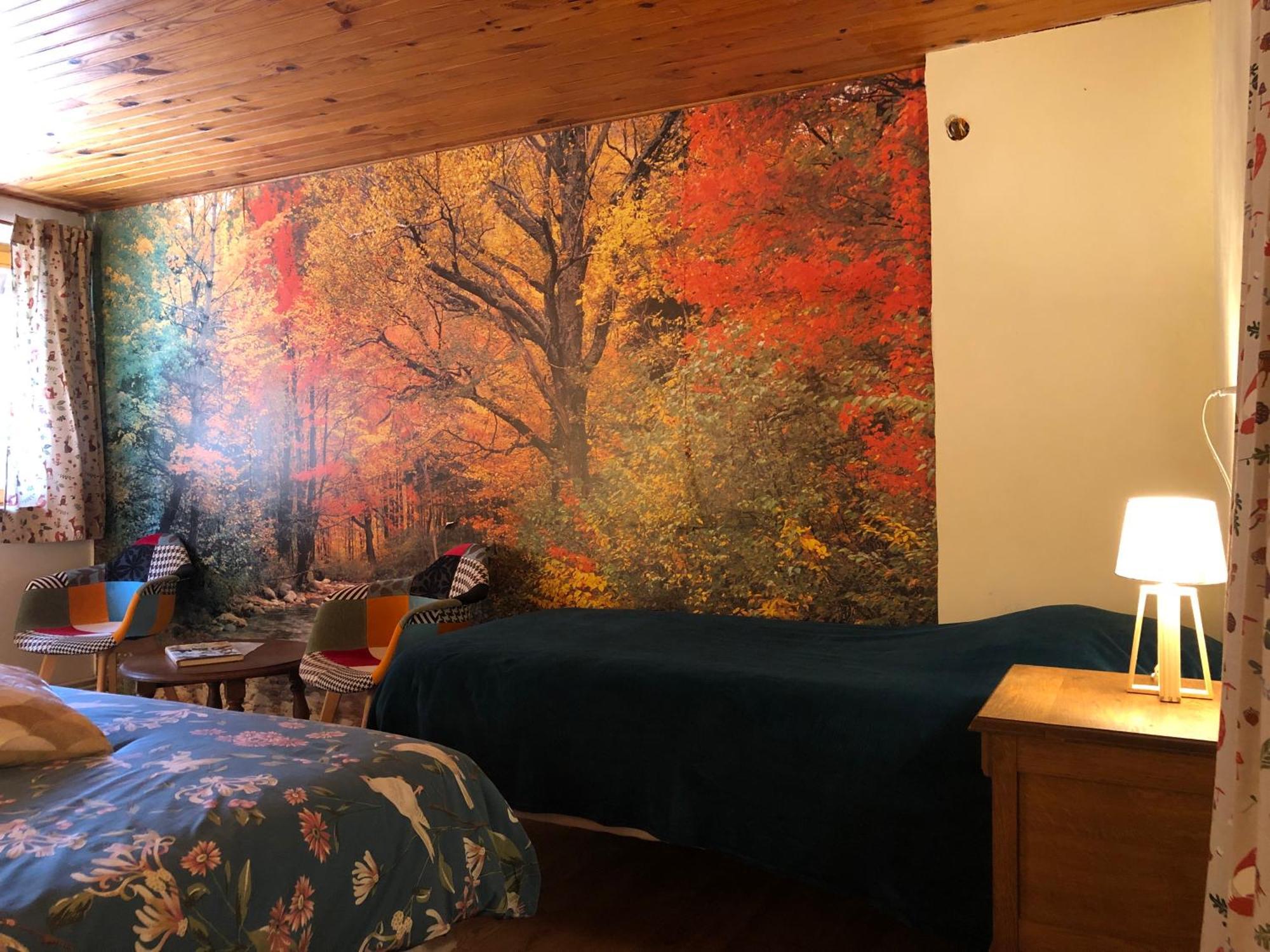 A L'Oree De Soi - Maison Forestiere De La Soie - Eco Gite, Chambres D'Hotes, Camping Au Pied Des Vosges Saint-Sauveur  エクステリア 写真