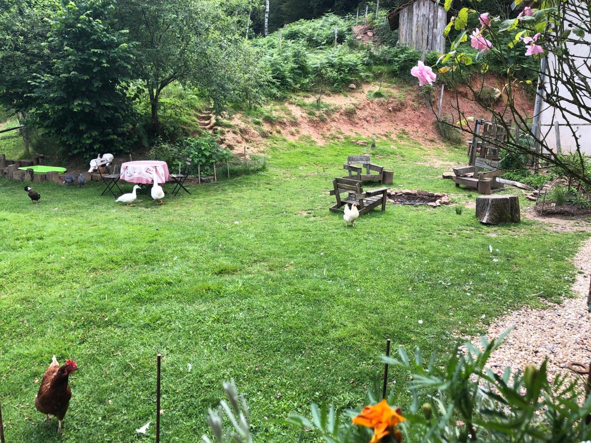A L'Oree De Soi - Maison Forestiere De La Soie - Eco Gite, Chambres D'Hotes, Camping Au Pied Des Vosges Saint-Sauveur  エクステリア 写真